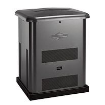 Генератор газовый Briggs  Stratton 8000
