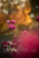 Осенняя фотосессия в Алматы Autumn photo shoot in Almaty