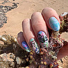 Пластина для стемпинга Enigma Stamping №024, фото 4