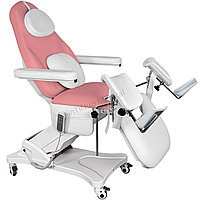 кисканың артқы көрінісі