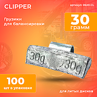 Набор грузов (100шт) CLIPPER 0630