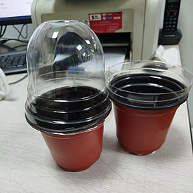 Көшеттерге арналған шағын жылыжай 0263