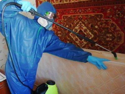 уничтожение клопов