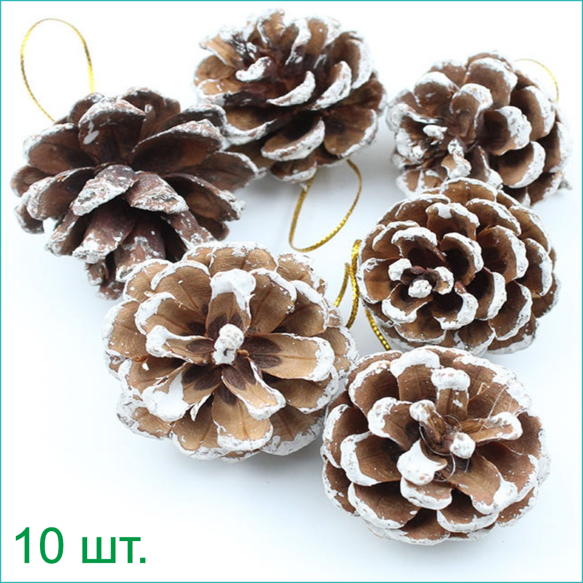 Набор шишек 10 шт. (со снегом)