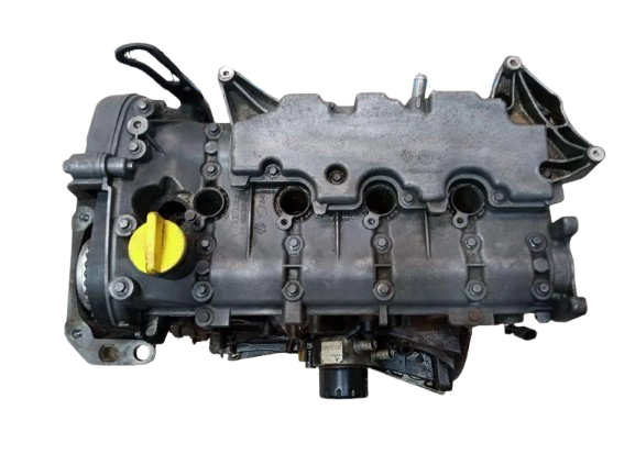 Двигатель в сборе 100017528R Renault, фото 1