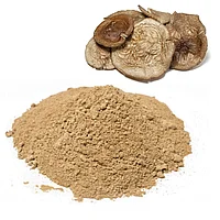 Молотый пантерный мухомор Amanita pantherina, 50 г