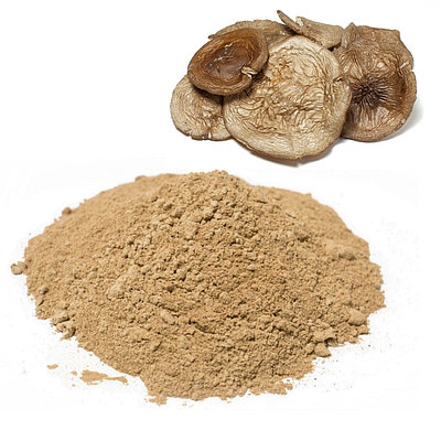 Гей порно видео және секс машинасы Суқұйғыштардың жыныстық позициялары