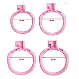 Пояс верности инвертированный (отрицательный), фото 9