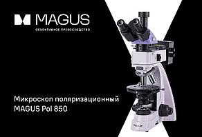 MAGUS Pol 850 — власть света и структуры
