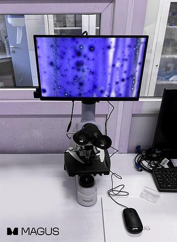 Внедрение микроскопов MAGUS в систему лабораторного контроля «Азбуки Вкуса»