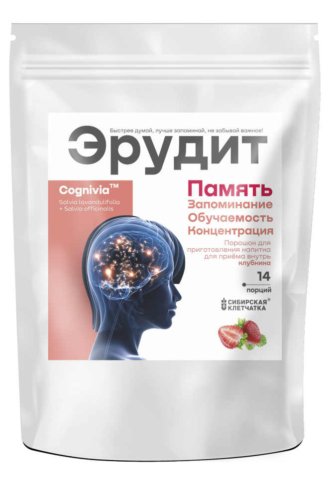 Напиток для памяти «Эрудит» с клубникой, 14 саше по 2г., фото 1