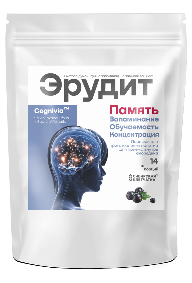 Напиток для памяти «Эрудит» со смородиной, 14 саше по 2г., фото 1