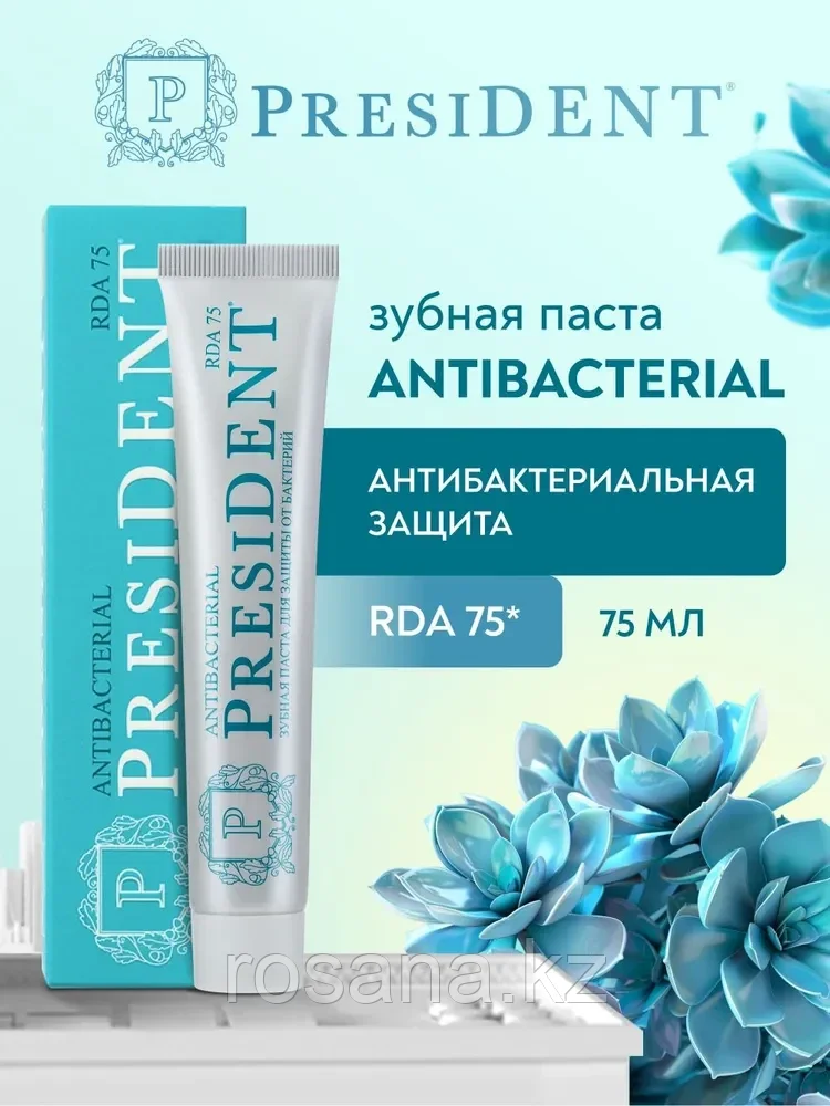 PresiDENT PROFI Antibacterial зубная паста 75 мл, фото 1