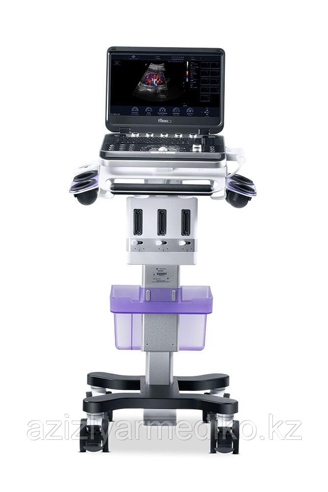 Focus & Fusion Finus 50