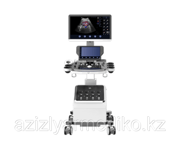 Focus&Fusion Danus 10