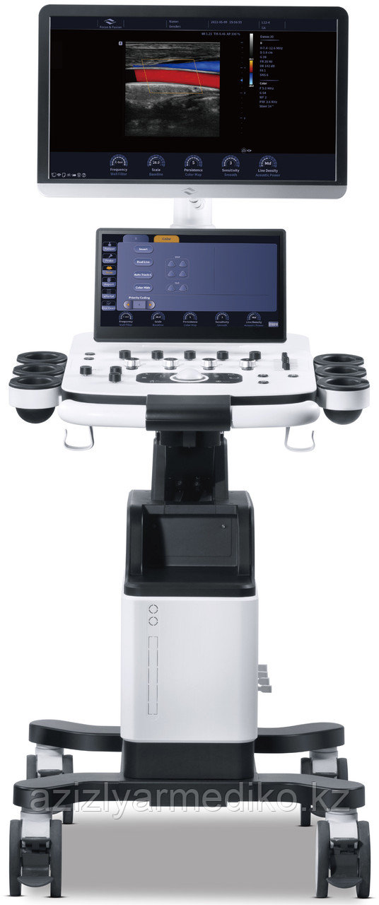 Focus&Fusion Danus 30