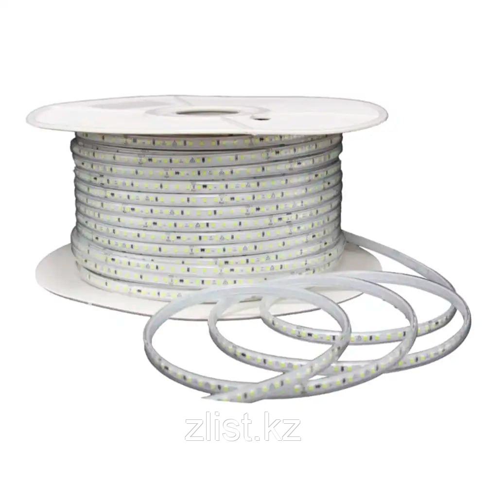 Лента светодиодная SMD 120L 220V синий 50M, фото 1