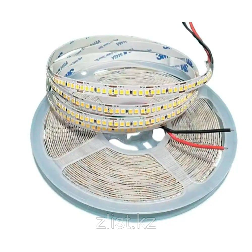 Лента светодиодная HP 24V 240L 6500K, фото 1