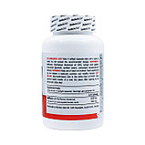 Жиросжигатель липотропик BioTech USA CLA 400 80 капсул, фото 2