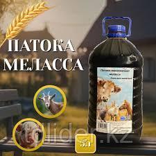 Меласса свекловичная (патока), фото 1