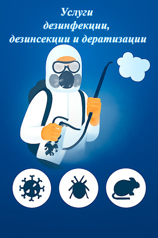 Услуги дезинфекции, дезинсекции и дератизации, фото 1