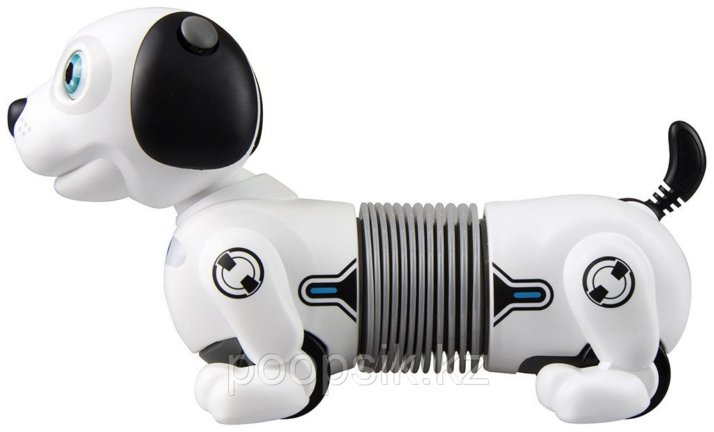 Ycoo Дэкел Джуниор