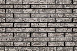 Акация 0.7 НФ / 1 НФ