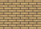 Лицевой кирпич Слоновая кость, жёлтый 1,4НФ M150-200, фото 2