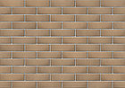 Лицевой кирпич Капучино, бежевый 0,7НФ M150-200, фото 2