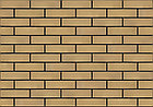 Лицевой кирпич Слоновая кость, жёлтый 1,4НФ M150-200, фото 2