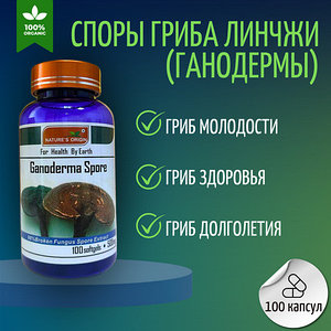 Ганодерма Линджи Ganoderma Spore 100 капсула 500 мг. Natures Origin