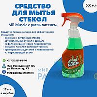 Средство для мытья стекол Мистер мускул 500 мл с распылителем
