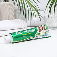 Dabur Herb I - Зубная паста Ментол и Лимон