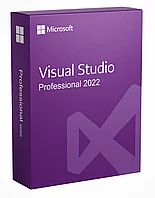 Microsoft Visual Studio Professional 2022