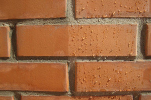 Водопоглощение кирпича: почему оно влияет на долговечность фасада