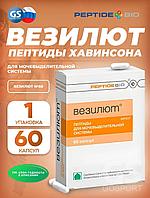 ВЕЗИЛЮТ 60 пептиды мочевыделительной системы
