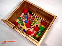 Набор для проведения логопедических занятий «Логопед Про»