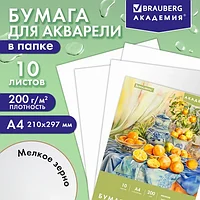 Папка для акварели А4, 10 л., 200 г/м2, 210х297 мм, BRAUBERG АКАДЕМИЯ, "Апельсины", 117743