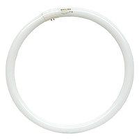 Лампы круглые