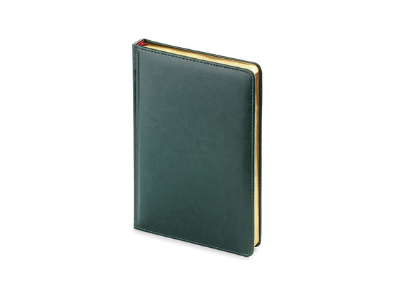 Ежедневник 2026 датированный А5  с золотым срезом, зеленый, фото 1