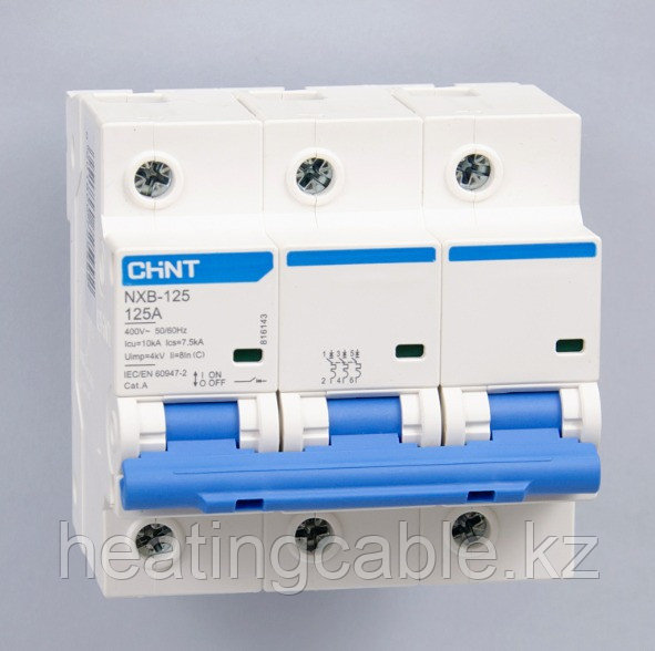 Автоматический выключатель Chint NXB-125 125A 3P