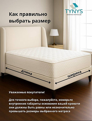 Топпер TYNYS Memory +, 160x200x8 см, фото 3