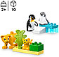 Конструктор LEGO Семьи диких животных : пингвины и львы , деталей 10 шт, фото 2