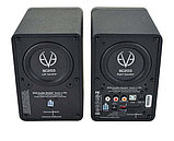 EVE Audio SC203 Master Slave Set. Активный студийный монитор, фото 2