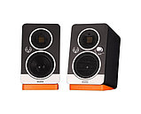 EVE Audio SC203 Master Slave Set. Активный студийный монитор, фото 5