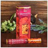 Благовония HEM "Kamasutra. Камасутра", 20 палочек в упаковке, шестигранник 696368, фото 3