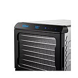 Сушилка для овощей и фруктов Kitfort КТ-4931, фото 2