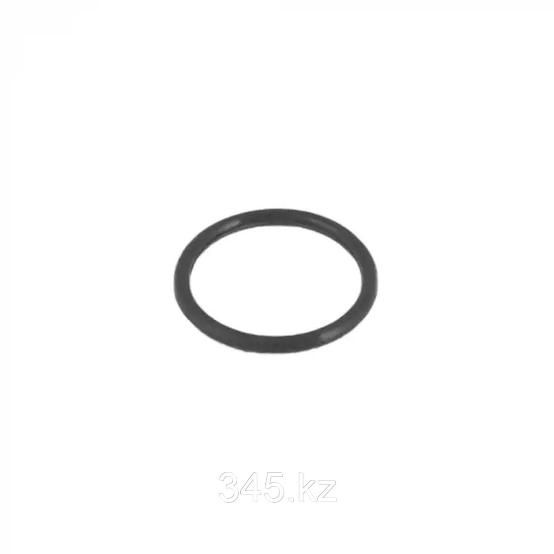 Уплотнительное кольцо для фильтр-насоса Bestway P6005ASS16