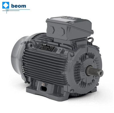 Электродвигатели WEG