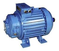 Электродвигатель МТН 711-10 (100кВт/600об. мин.)